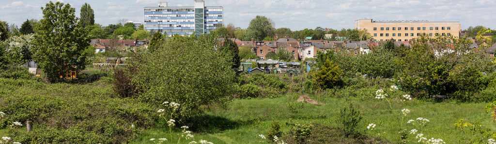 A view of the main pond in Long Lane Pasture. November, 2007