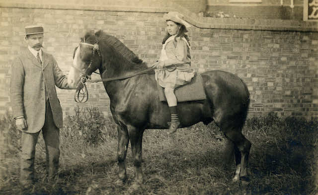 Long Lane Pasture in July 1917