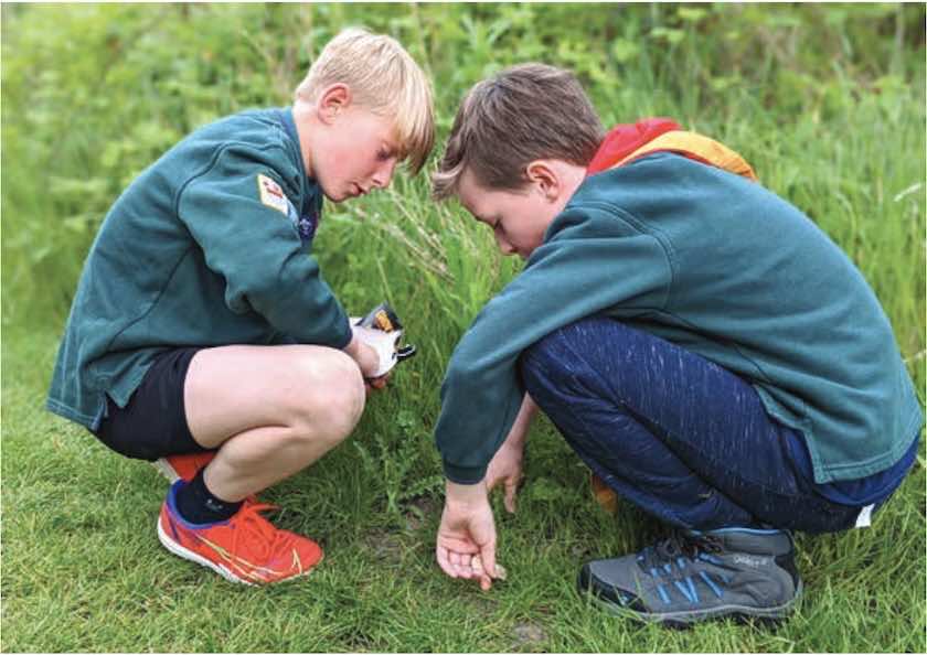 Ground level: Cub scouts explore Long Lane Pasture in extreme close-up