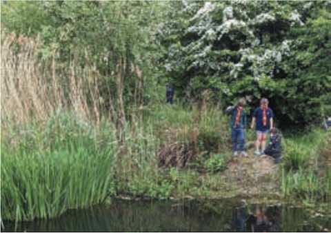 Pond life: Young Cubs enjoying the wildlife haven