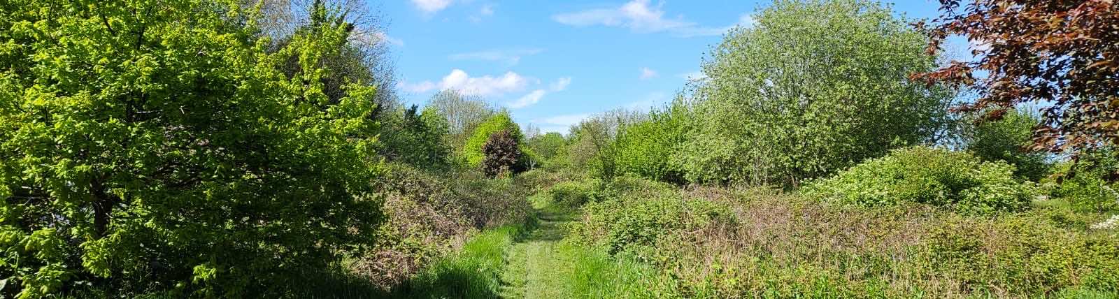 A path in Long Lane Pasture