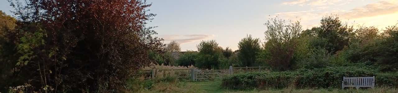 The pasture at sunset early autumn