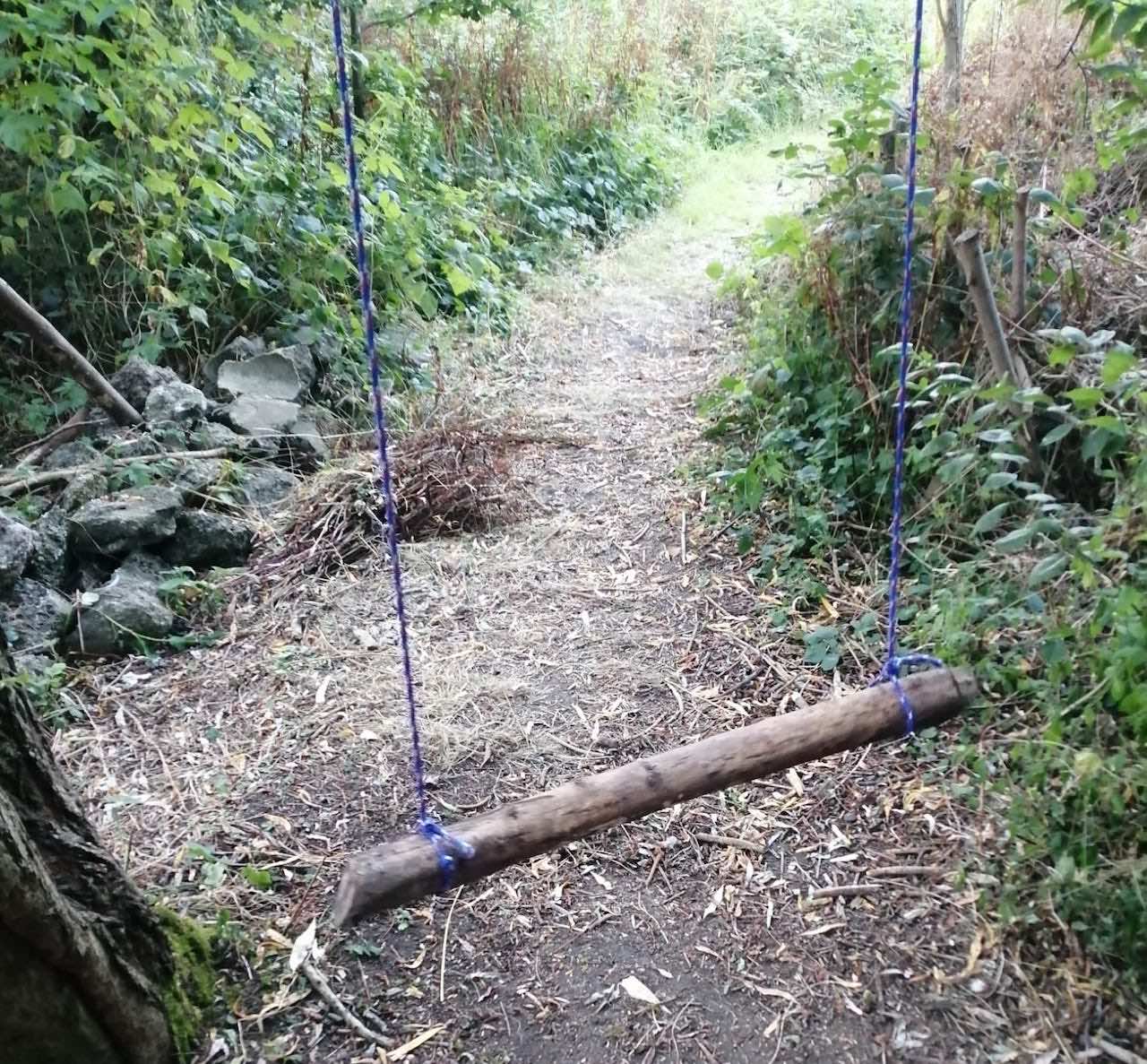 Swing at Long Lane Pasture