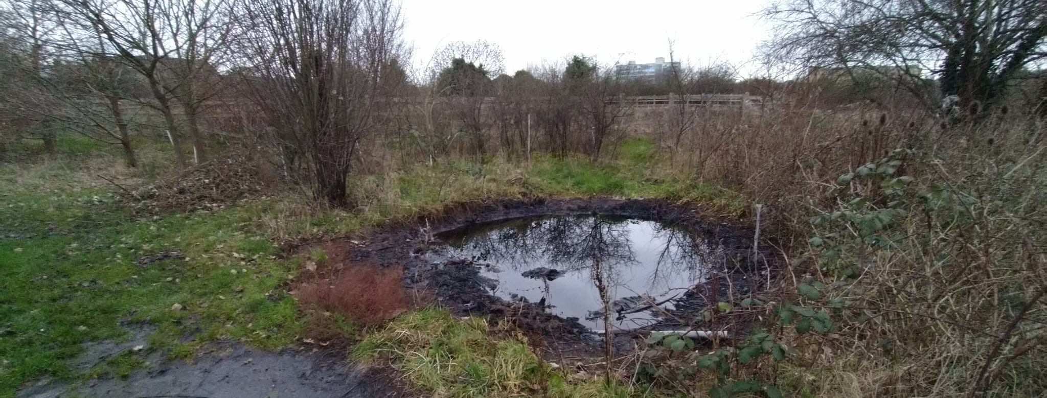 The Tale of Oily Pond